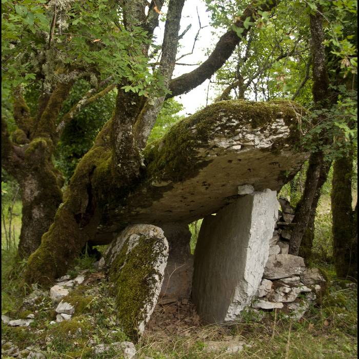 Photo de 6 Dolmens de Saint-Chels